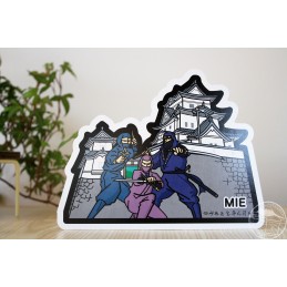 Iga-ryû Ninja and Ueno Castle (Mie)