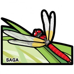 Nain écarlate (Saga)