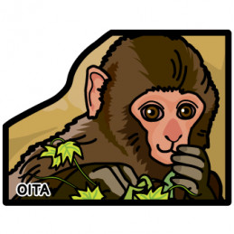 Singes de Takasakiyama (Oita)